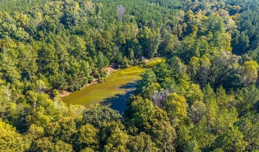 Photo #37 of 2901 Lewis Ford Road, Brookneal, VA 162.5 acres