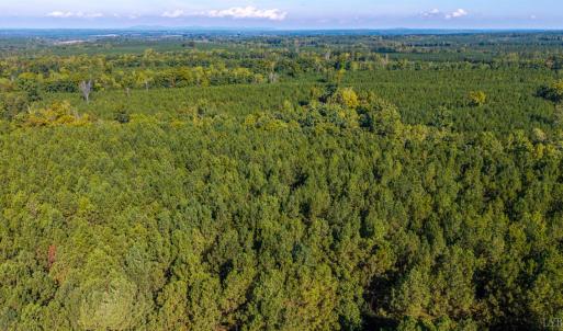 Photo #59 of 2901 Lewis Ford Road, Brookneal, VA 162.5 acres