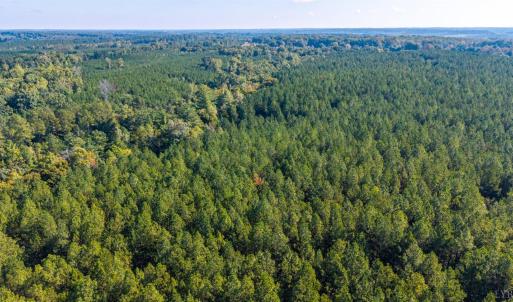 Photo #48 of 2901 Lewis Ford Road, Brookneal, VA 162.5 acres