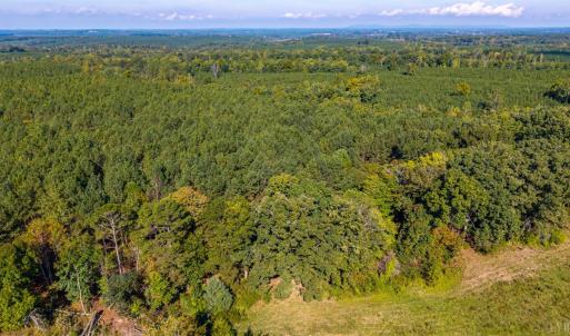 Photo #58 of 2901 Lewis Ford Road, Brookneal, VA 162.5 acres