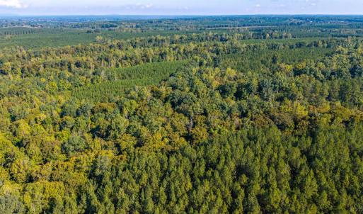 Photo #64 of 2901 Lewis Ford Road, Brookneal, VA 162.5 acres