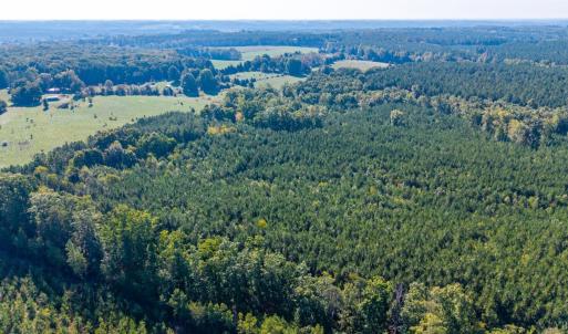 Photo #53 of 2901 Lewis Ford Road, Brookneal, VA 162.5 acres