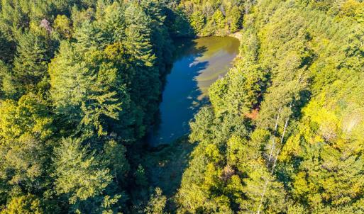 Photo #35 of 2901 Lewis Ford Road, Brookneal, VA 162.5 acres