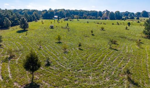 Photo #56 of 2901 Lewis Ford Road, Brookneal, VA 162.5 acres