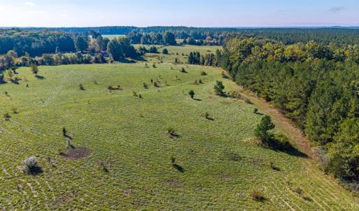 Photo #57 of 2901 Lewis Ford Road, Brookneal, VA 162.5 acres