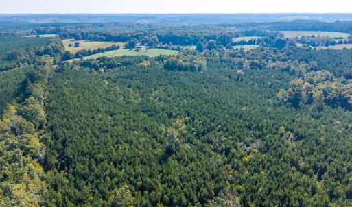 Photo #51 of 2901 Lewis Ford Road, Brookneal, VA 162.5 acres
