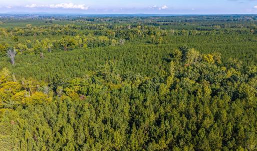 Photo #60 of 2901 Lewis Ford Road, Brookneal, VA 162.5 acres