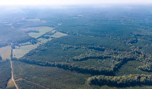Photo #15 of 2901 Lewis Ford Road, Brookneal, VA 162.5 acres