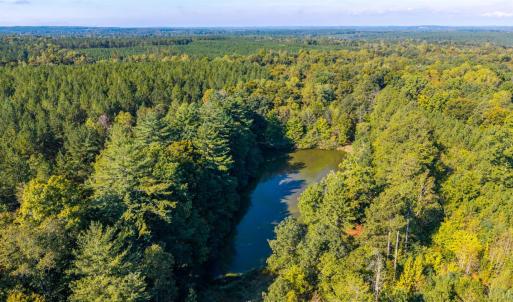 Photo #45 of 2901 Lewis Ford Road, Brookneal, VA 162.5 acres