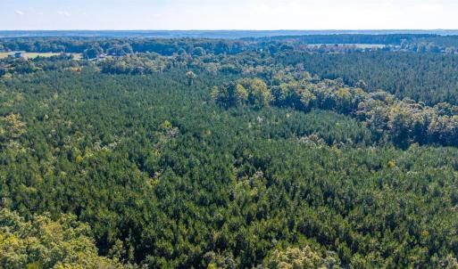 Photo #50 of 2901 Lewis Ford Road, Brookneal, VA 162.5 acres