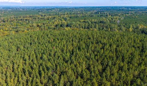 Photo #63 of 2901 Lewis Ford Road, Brookneal, VA 162.5 acres