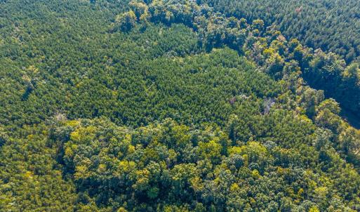 Photo #69 of 2901 Lewis Ford Road, Brookneal, VA 162.5 acres