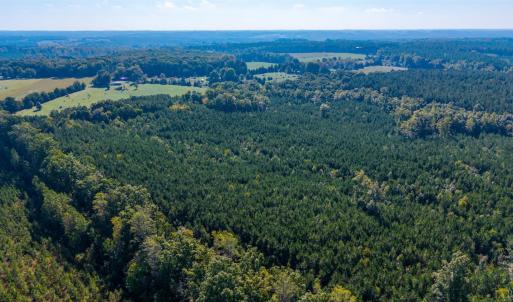 Photo #52 of 2901 Lewis Ford Road, Brookneal, VA 162.5 acres