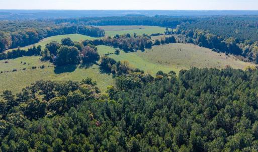 Photo #42 of 2901 Lewis Ford Road, Brookneal, VA 162.5 acres