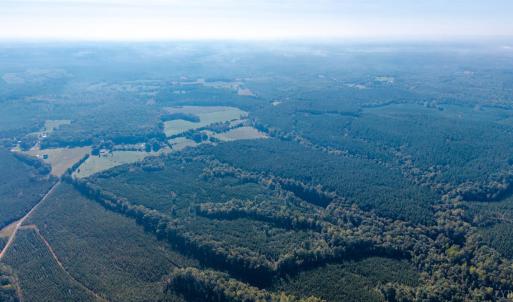 Photo #14 of 2901 Lewis Ford Road, Brookneal, VA 162.5 acres