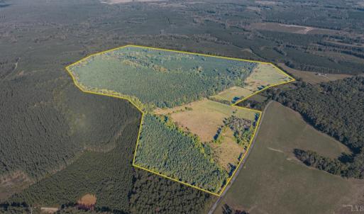 Photo #6 of 2901 Lewis Ford Road, Brookneal, VA 162.5 acres