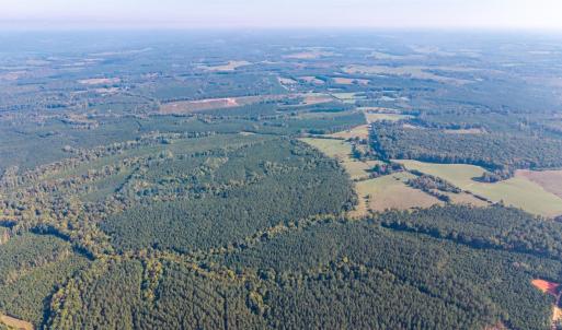 Photo #10 of 2901 Lewis Ford Road, Brookneal, VA 162.5 acres