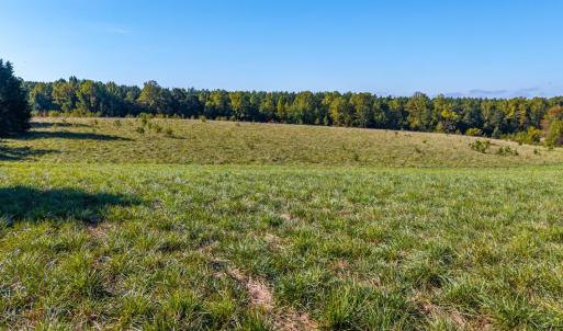 Photo #31 of 2901 Lewis Ford Road, Brookneal, VA 162.5 acres