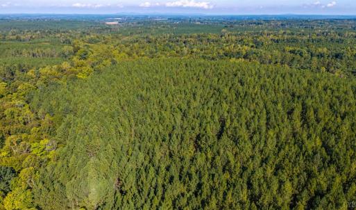Photo #62 of 2901 Lewis Ford Road, Brookneal, VA 162.5 acres