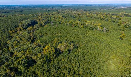 Photo #43 of 2901 Lewis Ford Road, Brookneal, VA 162.5 acres