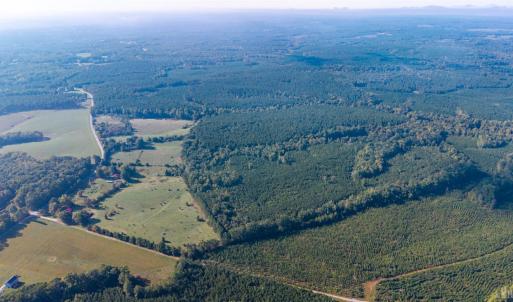 Photo #17 of 2901 Lewis Ford Road, Brookneal, VA 162.5 acres