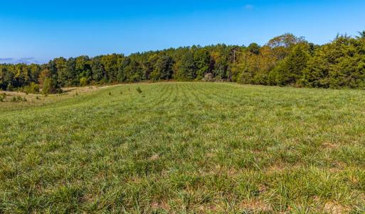Photo #32 of 2901 Lewis Ford Road, Brookneal, VA 162.5 acres