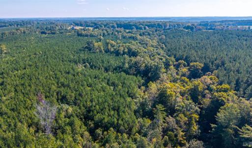 Photo #49 of 2901 Lewis Ford Road, Brookneal, VA 162.5 acres