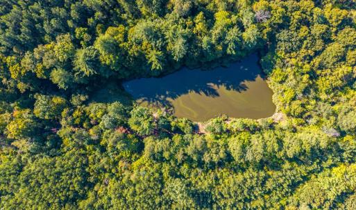 Photo #40 of 2901 Lewis Ford Road, Brookneal, VA 162.5 acres