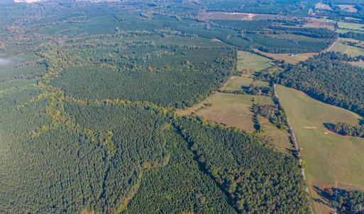 Photo #7 of 2901 Lewis Ford Road, Brookneal, VA 162.5 acres