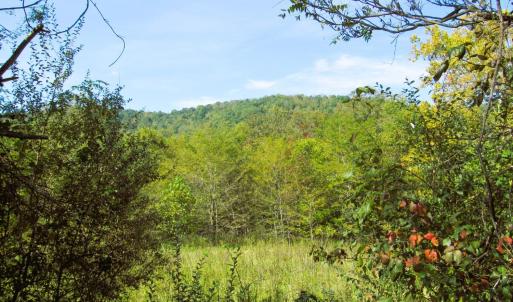 Photo #1 of Fortunes Cove Lane, Lovingston, VA 66.3 acres