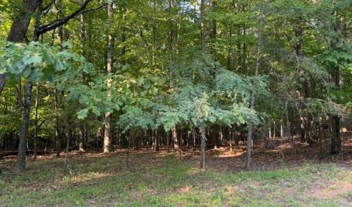 Photo #4 of 22 Woodshire Drive, Blue Ridge, VA 5.1 acres
