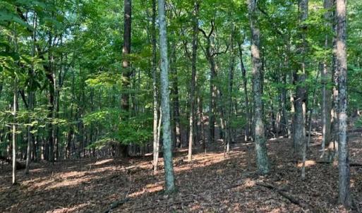 Photo #7 of 22 Woodshire Drive, Blue Ridge, VA 5.1 acres