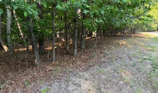 Photo #8 of 22 Woodshire Drive, Blue Ridge, VA 5.1 acres