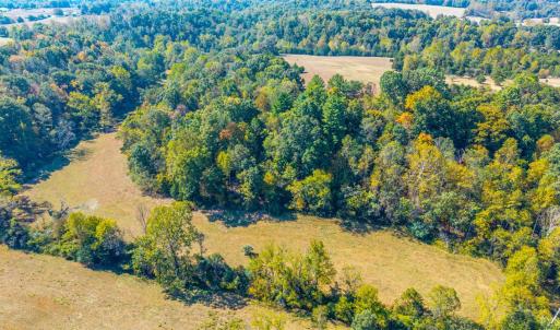 Photo #8 of Horseshoe Creek Ln, Amherst, VA 50.0 acres