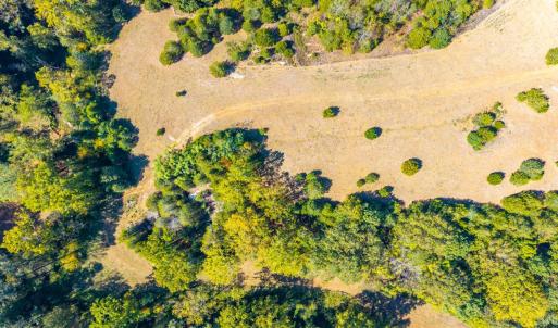 Photo #16 of Horseshoe Creek Ln, Amherst, VA 50.0 acres