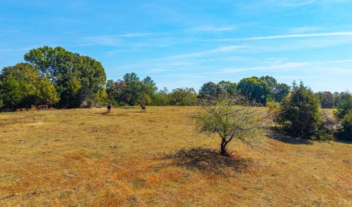 Photo #37 of Horseshoe Creek Ln, Amherst, VA 50.0 acres