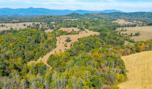 Photo #46 of Horseshoe Creek Ln, Amherst, VA 50.0 acres