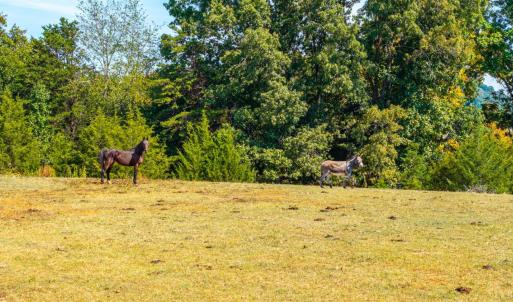 Photo #38 of Horseshoe Creek Ln, Amherst, VA 50.0 acres