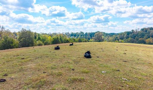Photo #67 of Horseshoe Creek Ln, Amherst, VA 50.0 acres
