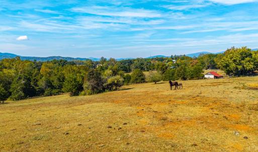 Photo #39 of Horseshoe Creek Ln, Amherst, VA 50.0 acres
