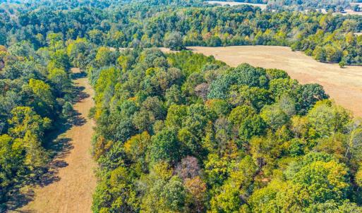 Photo #10 of Horseshoe Creek Ln, Amherst, VA 50.0 acres