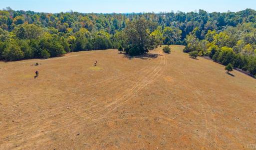 Photo #43 of Horseshoe Creek Ln, Amherst, VA 50.0 acres