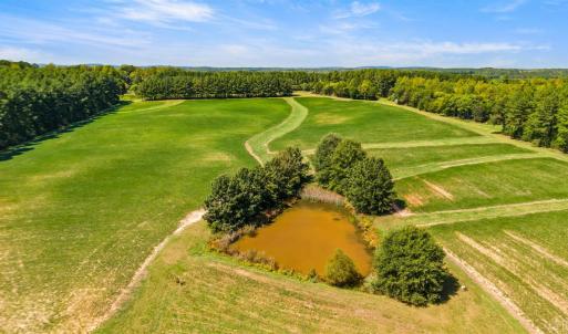 Photo #7 of 11271 Kentuck Road, Sutherlin, VA 574.4 acres