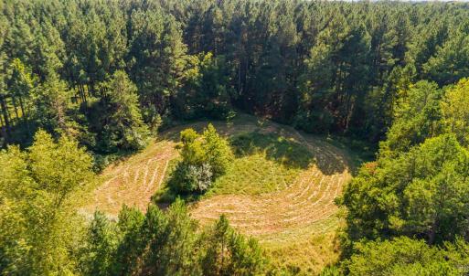 Photo #43 of 11271 Kentuck Road, Sutherlin, VA 574.4 acres