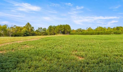 Photo #37 of 11271 Kentuck Road, Sutherlin, VA 574.4 acres