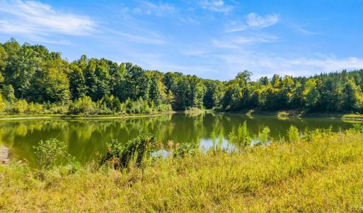 Photo #28 of 11271 Kentuck Road, Sutherlin, VA 574.4 acres