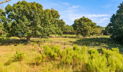 Photo #53 of 11271 Kentuck Road, Sutherlin, VA 574.4 acres