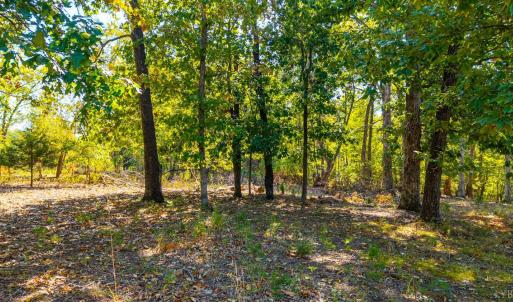 Photo #10 of 1 Falling Creek Road, Bedford, VA 8.9 acres