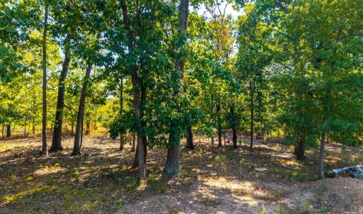 Photo #9 of 1 Falling Creek Road, Bedford, VA 8.9 acres