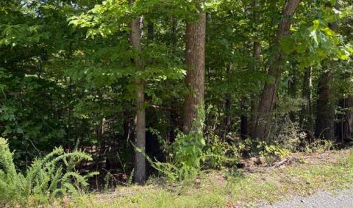 Photo #2 of Fields Avenue, Blue Ridge, VA 0.6 acres